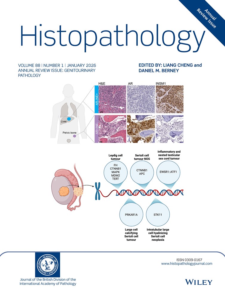 Histopathology Journal: Annual Review Issue Now Available image
